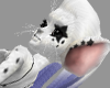 Starstruck Mouse skin