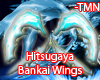Hitsugaya bankai wings.