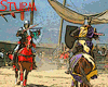Sturm Joust 2009