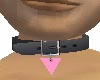 Collar w/GLBT Tag-M