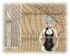 Spider Web Wall