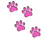Punk Kittenz Pawz