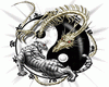 Dragon & Tiger