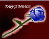 (D)R04