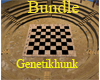 Chess/Checker Game Room