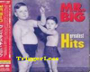 Mr Big To Be With You