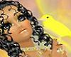 Canary
