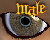 PHz ~ Brown Speckled M