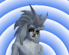 White Hedgehog