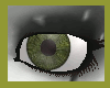 Nature Green Eyes