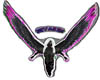 Flying Kivarin