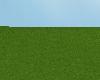 Green Feild (NO FOG) :)
