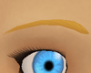 Blonde Eyebrows