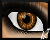 *R* (G/B) Loving Eyes