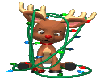 Rudolph