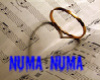 Numa Numa