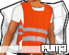 Product Image for ::PUMA:: Safety Vest