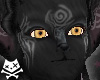 Hati Ears (M) Black