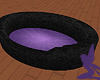 Blk/Prpl Pet Bed w/ Pose