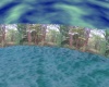 Animated Forest & Water