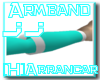 Hyou(Ice) Armband1