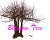 Blossom Tree