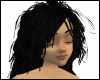 Hazel ~ Real Black