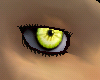 FK Vampire Eyes [F]
