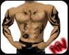 (MV) Master Muscle Top