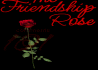 friendship rose