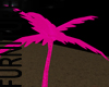 Click on this image for Large Palm Pink