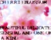 CH3RRI3BL0SS0M STICKER