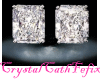 ~CCF~E.PrincessCDiamStud