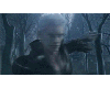 Cloud animation - forest