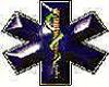 Product Image for glossy star of life
