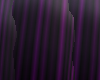 Purple Highlights Aya