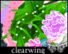 CW Carnation 4 U