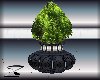 Z Solarium Tree Steel B