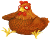 chicken