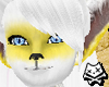 Custard Siamese Fur F