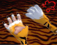 Tiger Paws