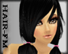 ^Shiny Black CHISUZU