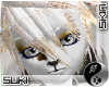 {Su}Orange Snow Cabbit