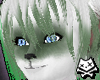 Wasabi Pockitty Set