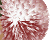 Red and White PomPoms 2