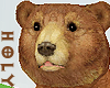 My Little Brown Bear