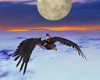 Flight Of Romance