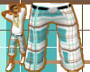 [LNR] Stylez Brown Short