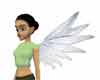 Diamond Wings