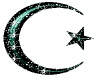 Moon with STAR..